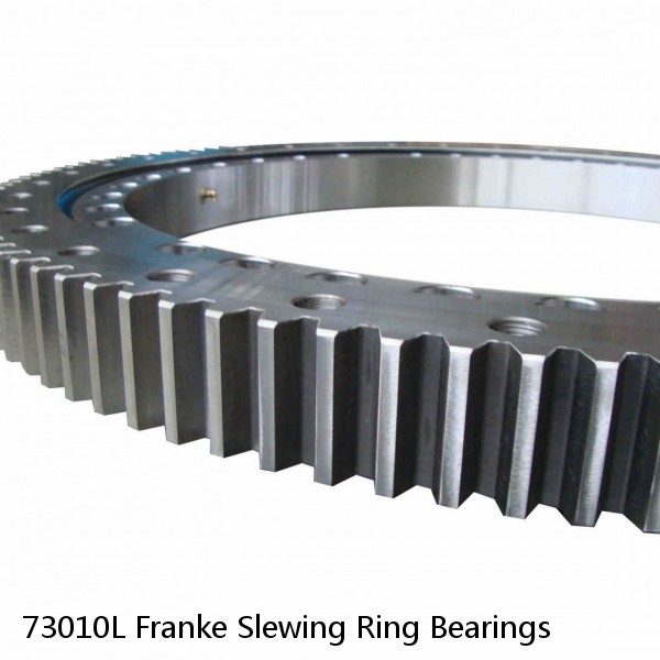 73010L Franke Slewing Ring Bearings