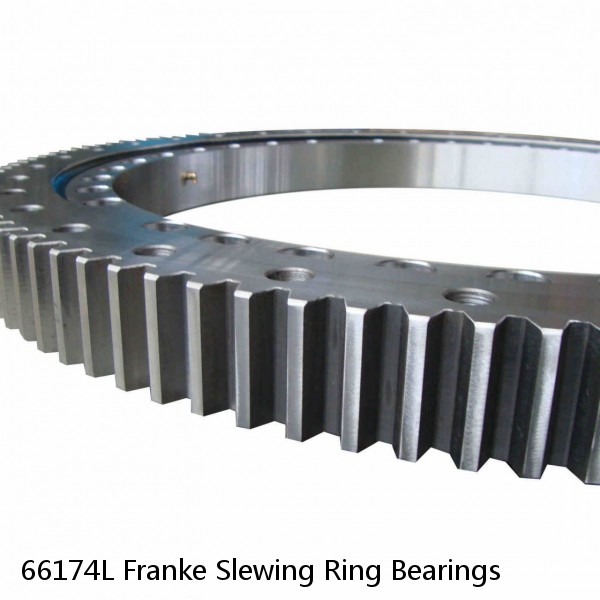 66174L Franke Slewing Ring Bearings