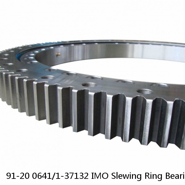 91-20 0641/1-37132 IMO Slewing Ring Bearings