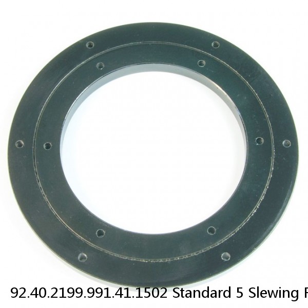 92.40.2199.991.41.1502 Standard 5 Slewing Ring Bearings
