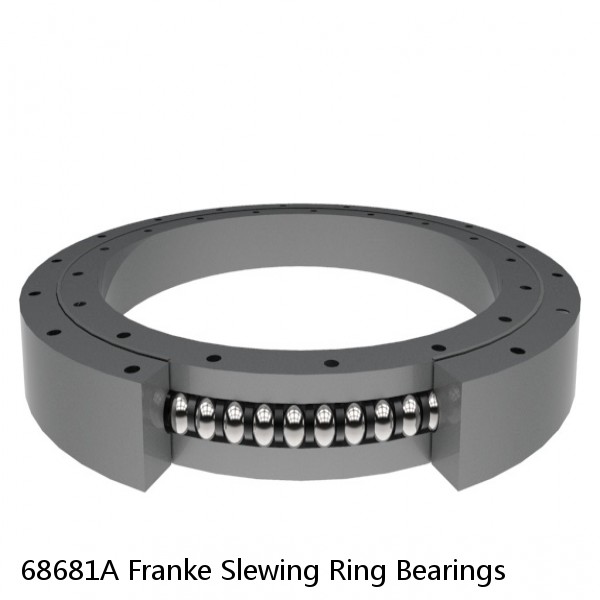 68681A Franke Slewing Ring Bearings