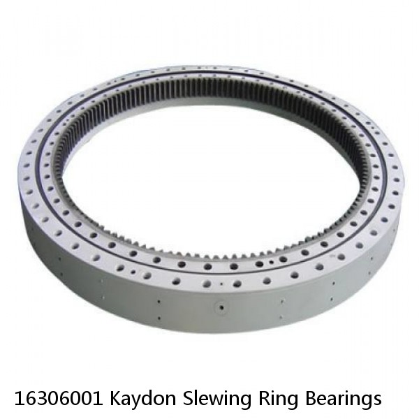 16306001 Kaydon Slewing Ring Bearings