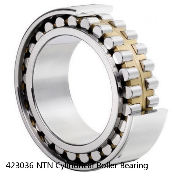 423036 NTN Cylindrical Roller Bearing