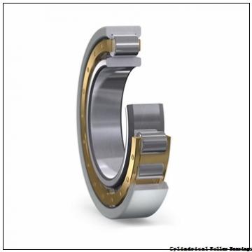 220 mm x 300 mm x 48 mm  Timken NCF2944V Cylindrical Roller Bearings