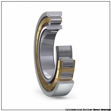 INA RT730 Cylindrical Roller Thrust Bearings