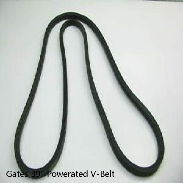 Gates 39" Powerated V-Belt